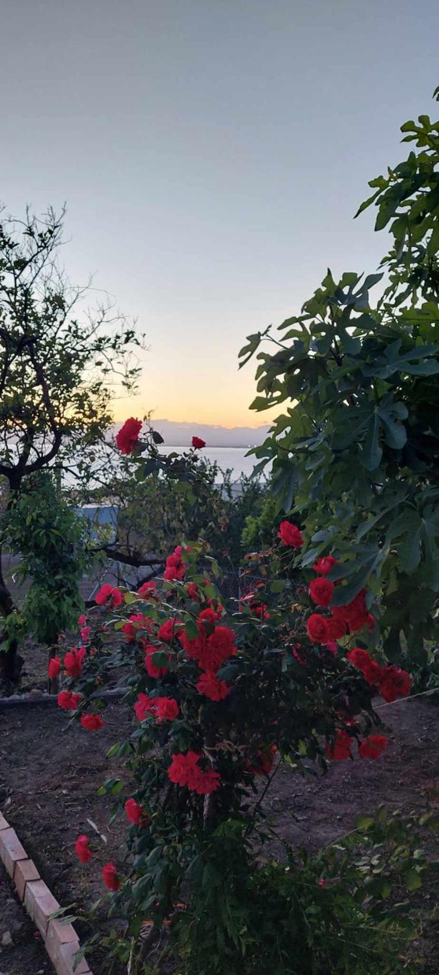 Panorama Studio Kalamata Exteriör bild